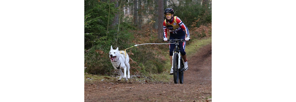 Barmark: SOC - Scandinavian open championchip